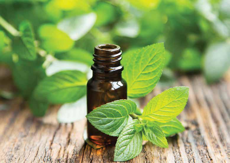 Photo from The Essential Step-by-Step Guide to Acupressure with Aromatherapy by Karin Parramore