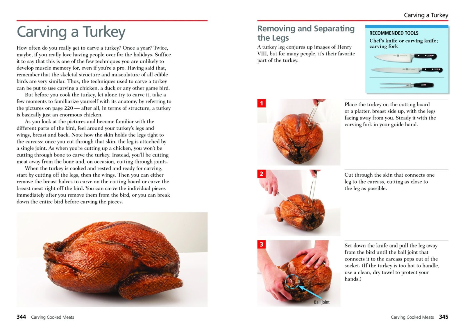The Zwilling J.A. Henckels Complete Book of Knife Skills (Jeffrey Elliot, James P. DeWan), interior page 1