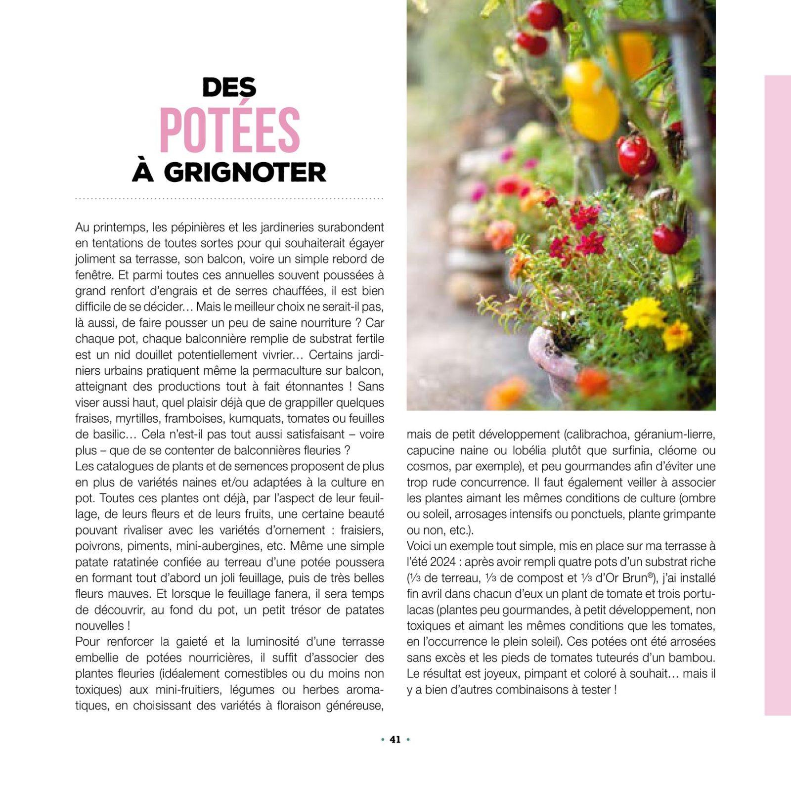 Inside illustration from The art of foodscaping by Marie Chioca