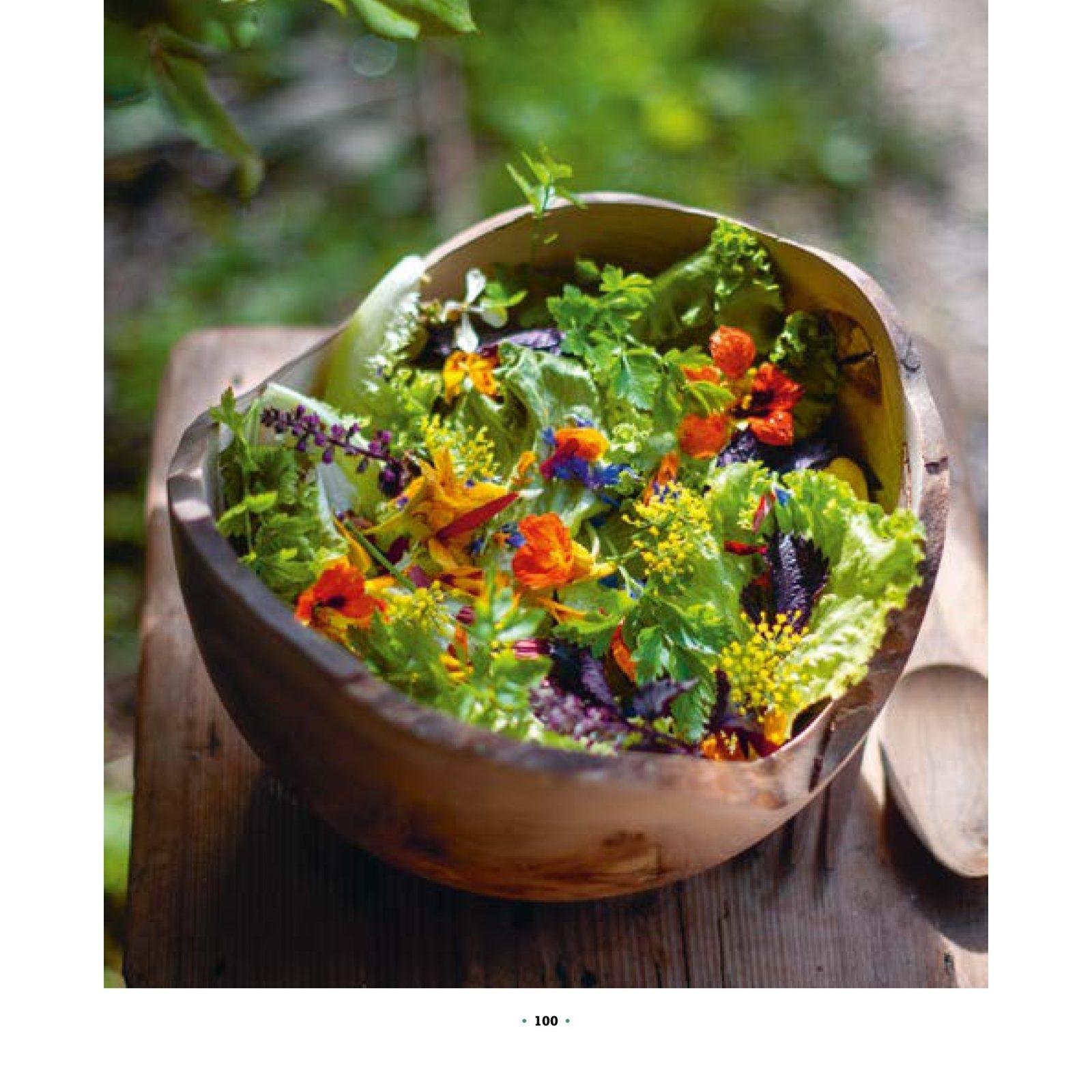 Inside illustration from The art of foodscaping by Marie Chioca