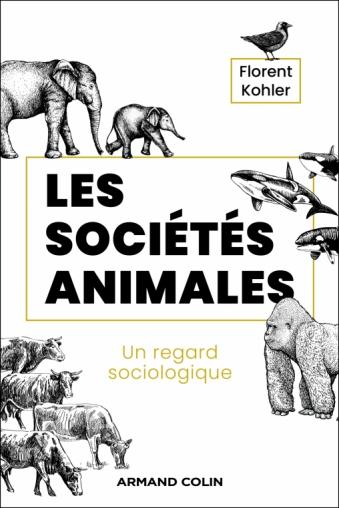 Animal Societies