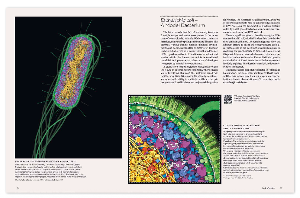Cells - Image 3
