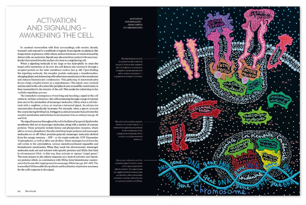 Cells - Image 4