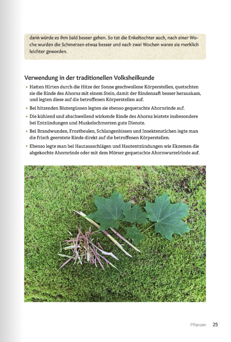 Bark Medicine - Image 2