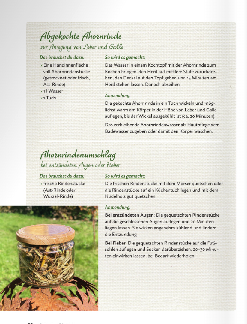 Bark Medicine - Image 3
