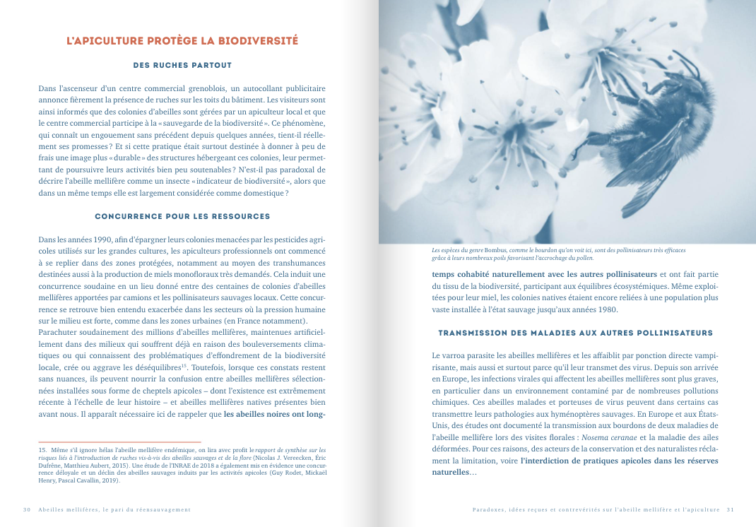 Honey Bees: The Bet of Rewilding - Image 2