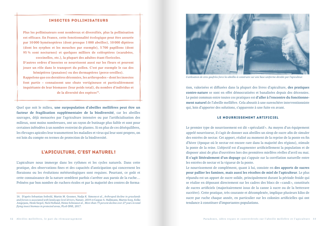 Honey Bees: The Bet of Rewilding - Image 3