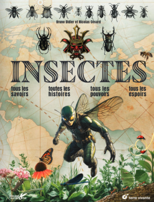 Insects