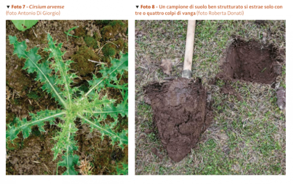 Regenerative Organic Agriculture - Image 4