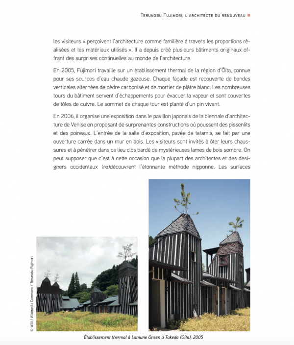 Natural Finishes for Wood Cladding - Image 3