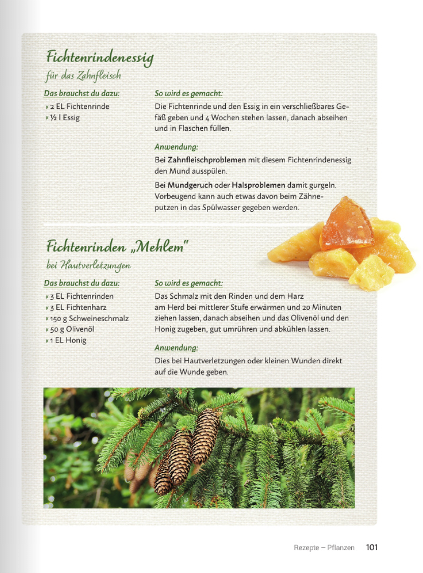 Bark Medicine - Image 4