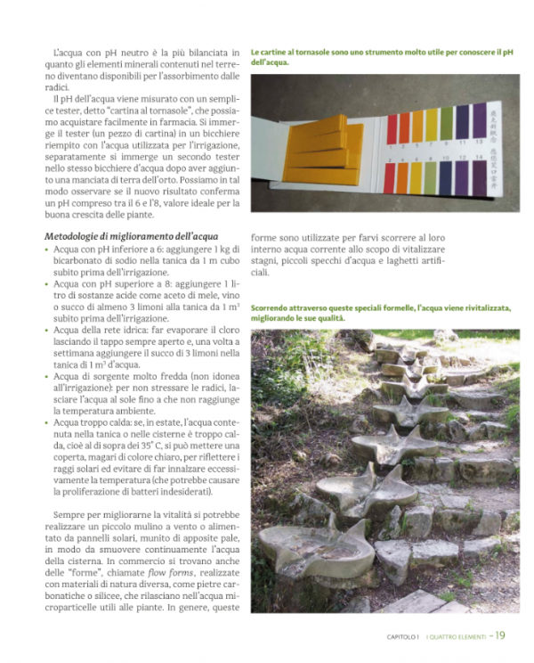 The biodynamic family garden - Image 3