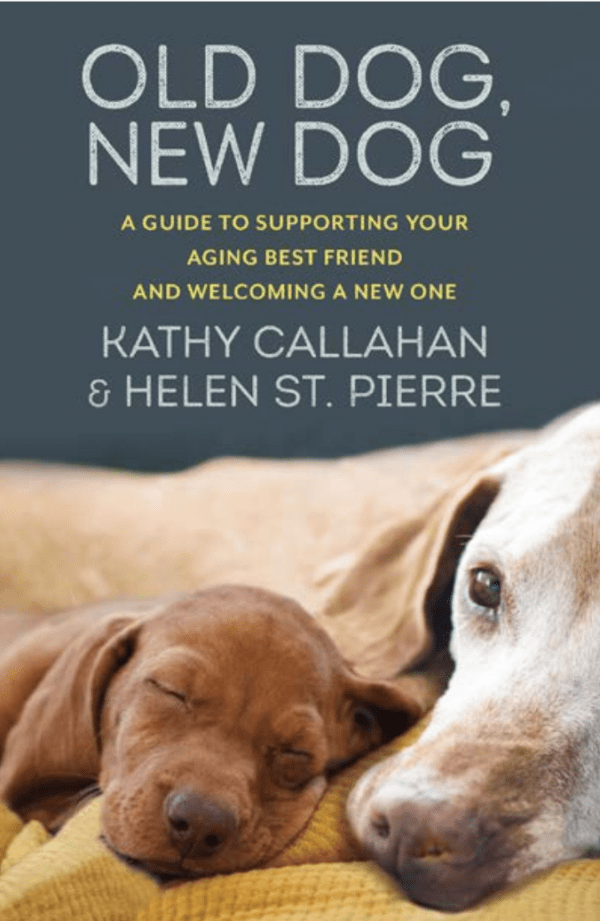 Old Dog, New Dog