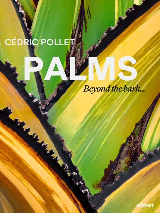Palms