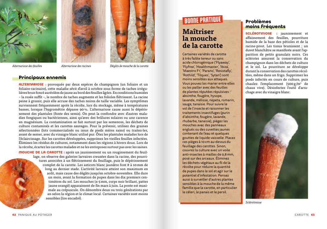 Panic in the Vegetable Garden - Image 2