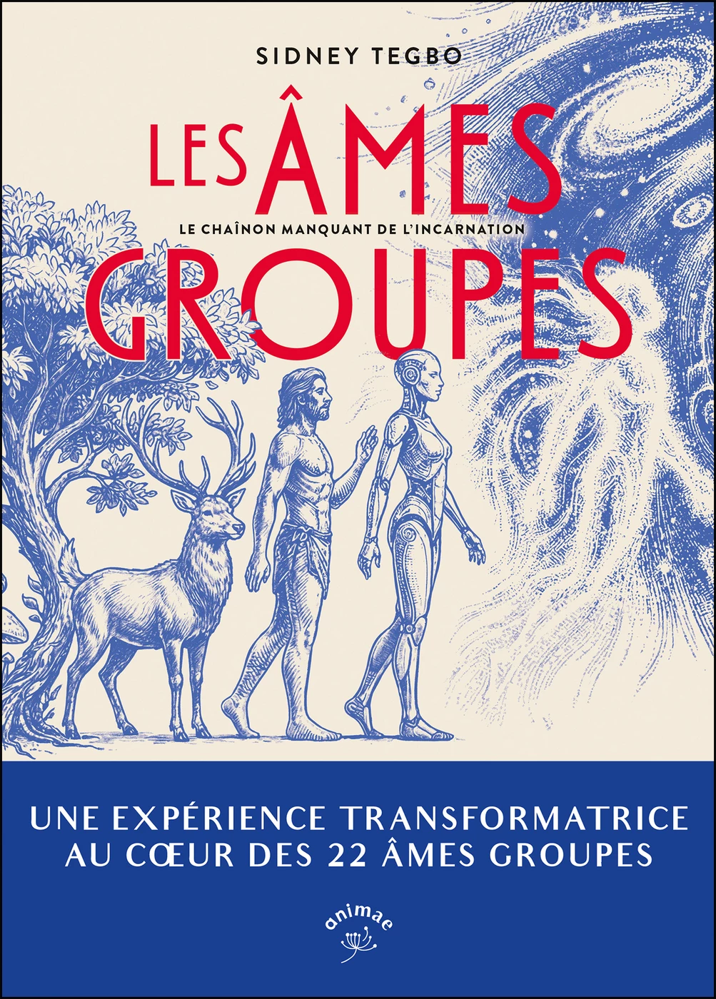 Soul Groups