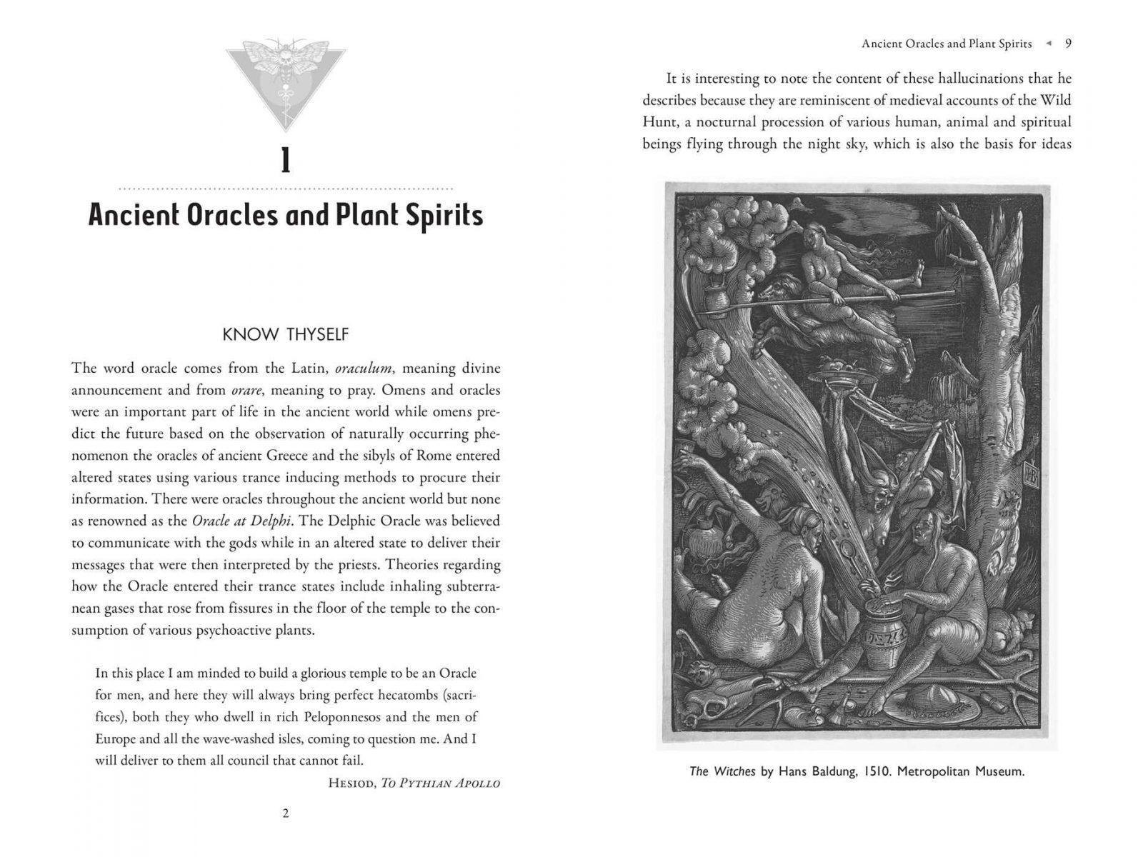 The Poison Path Oracle - Image 3