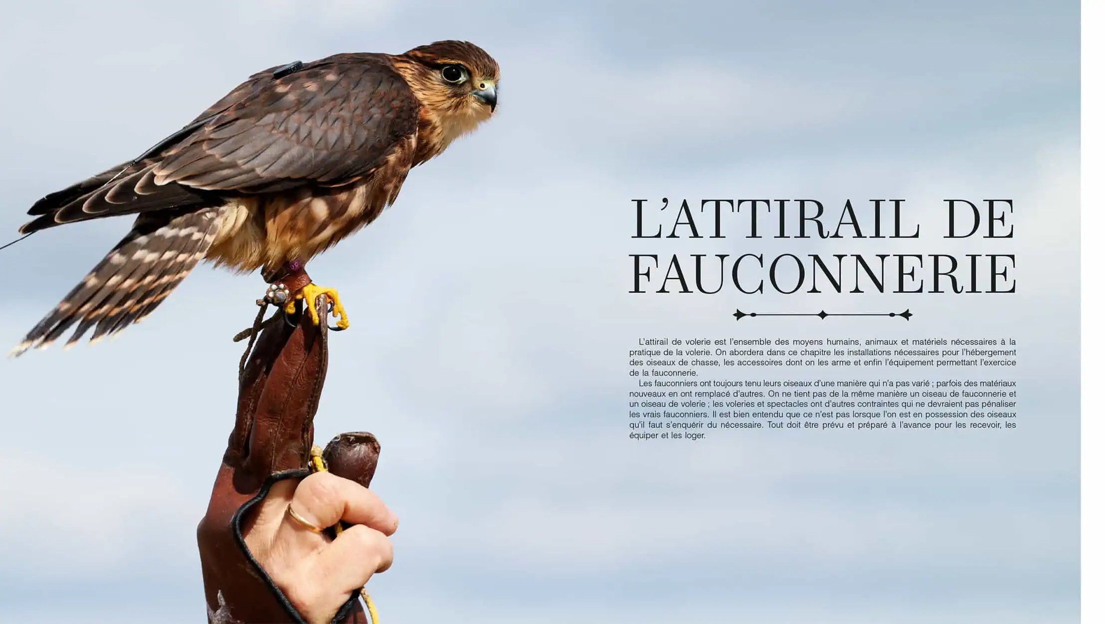 Treatise on Falconry - Image 4