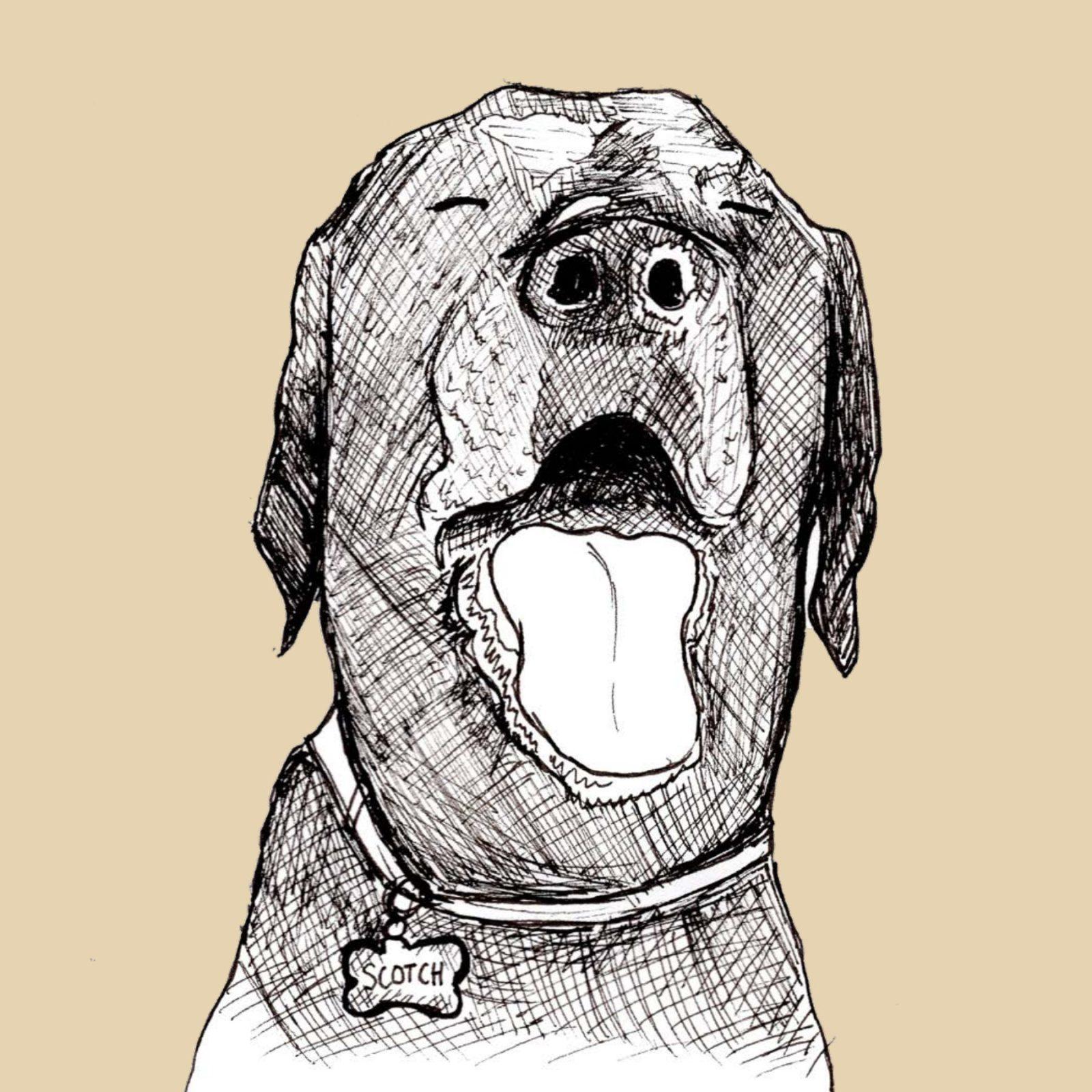 Inside illustration from Trying by Alessa Martin, Liz Swenson