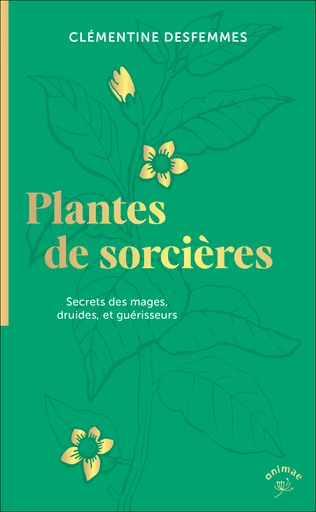 Witch's Guide to Plants